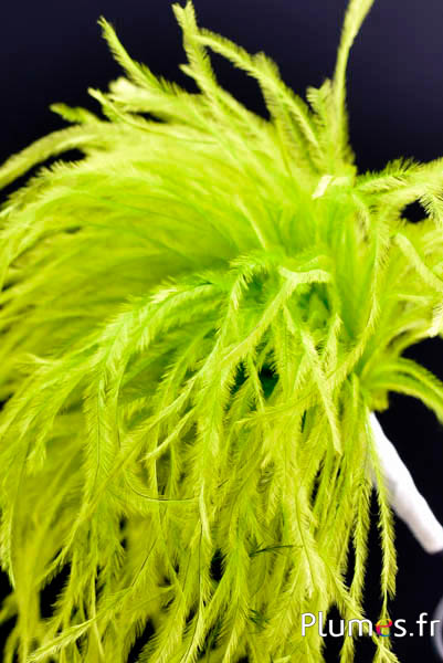 Pennacchio struzzo con anello - alt. 18-20 cm - lima